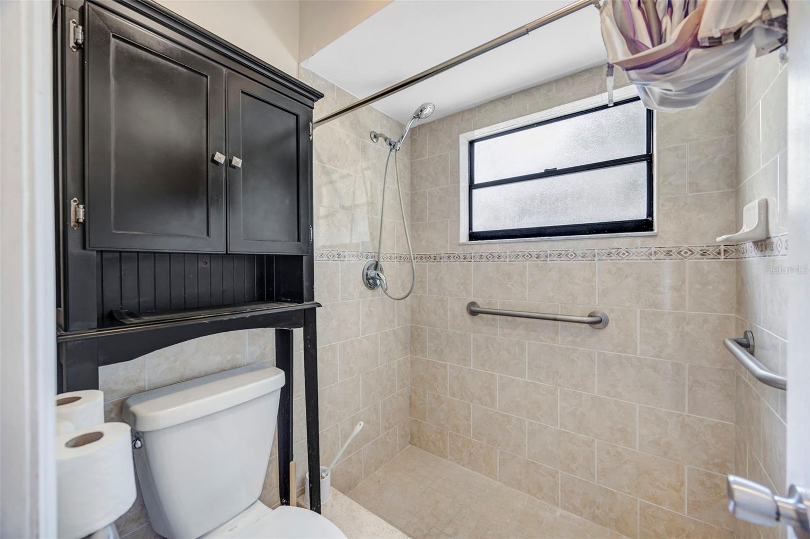 15804 IRONWARE PL, TAMPA, FL, 33624
