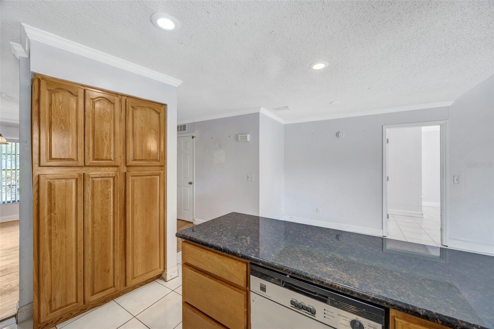 15804 IRONWARE PL, TAMPA, FL, 33624
