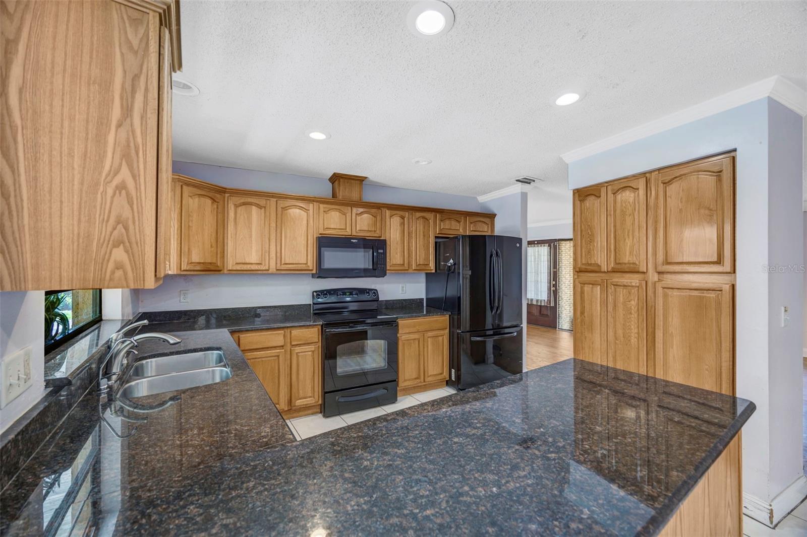15804 IRONWARE PL, TAMPA, FL, 33624