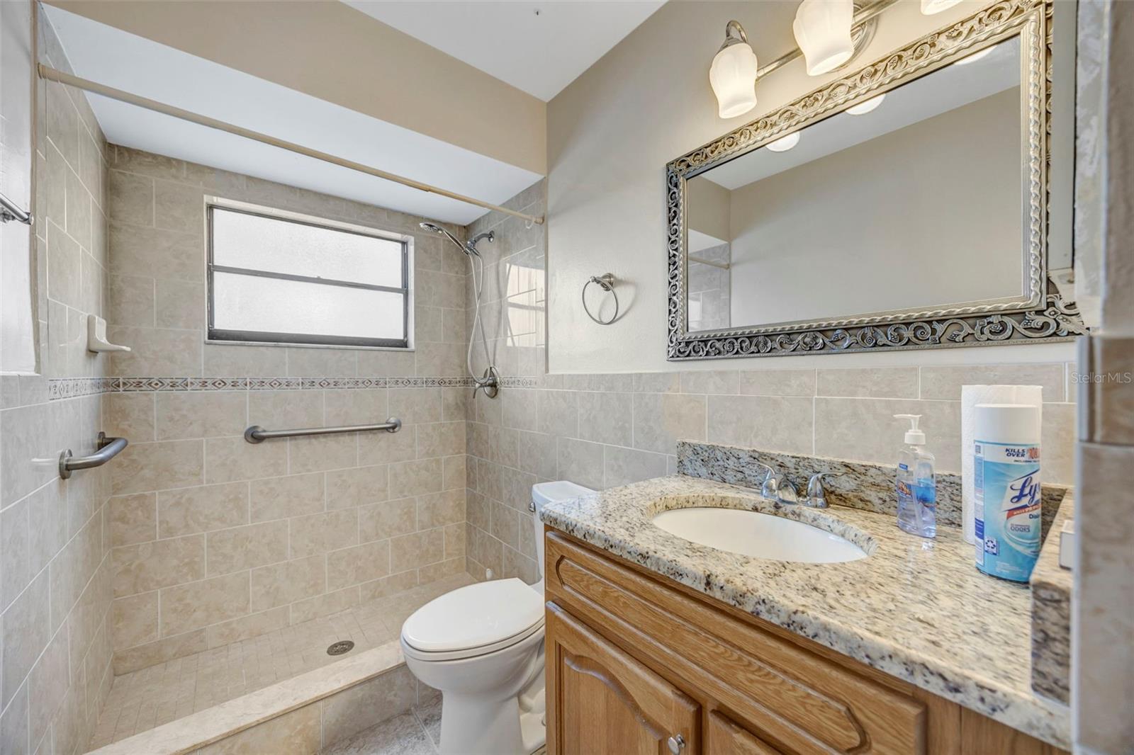 15804 IRONWARE PL, TAMPA, FL, 33624