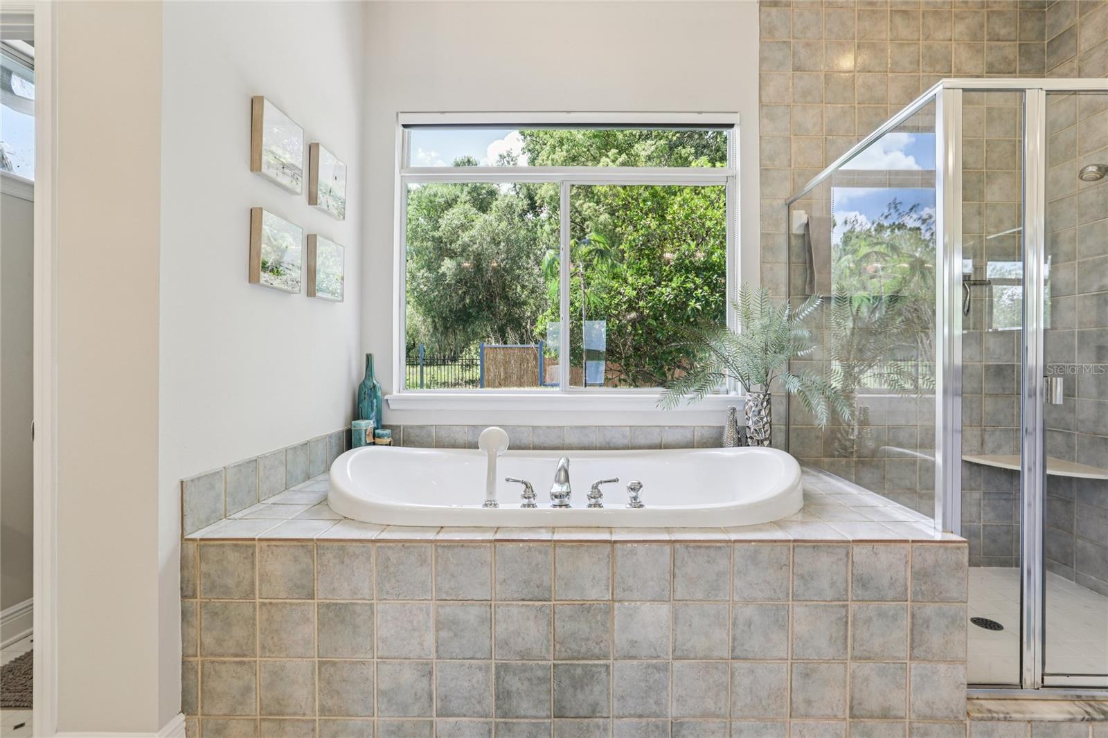 8701 LAKE CALM LN, ODESSA, FL, 33556