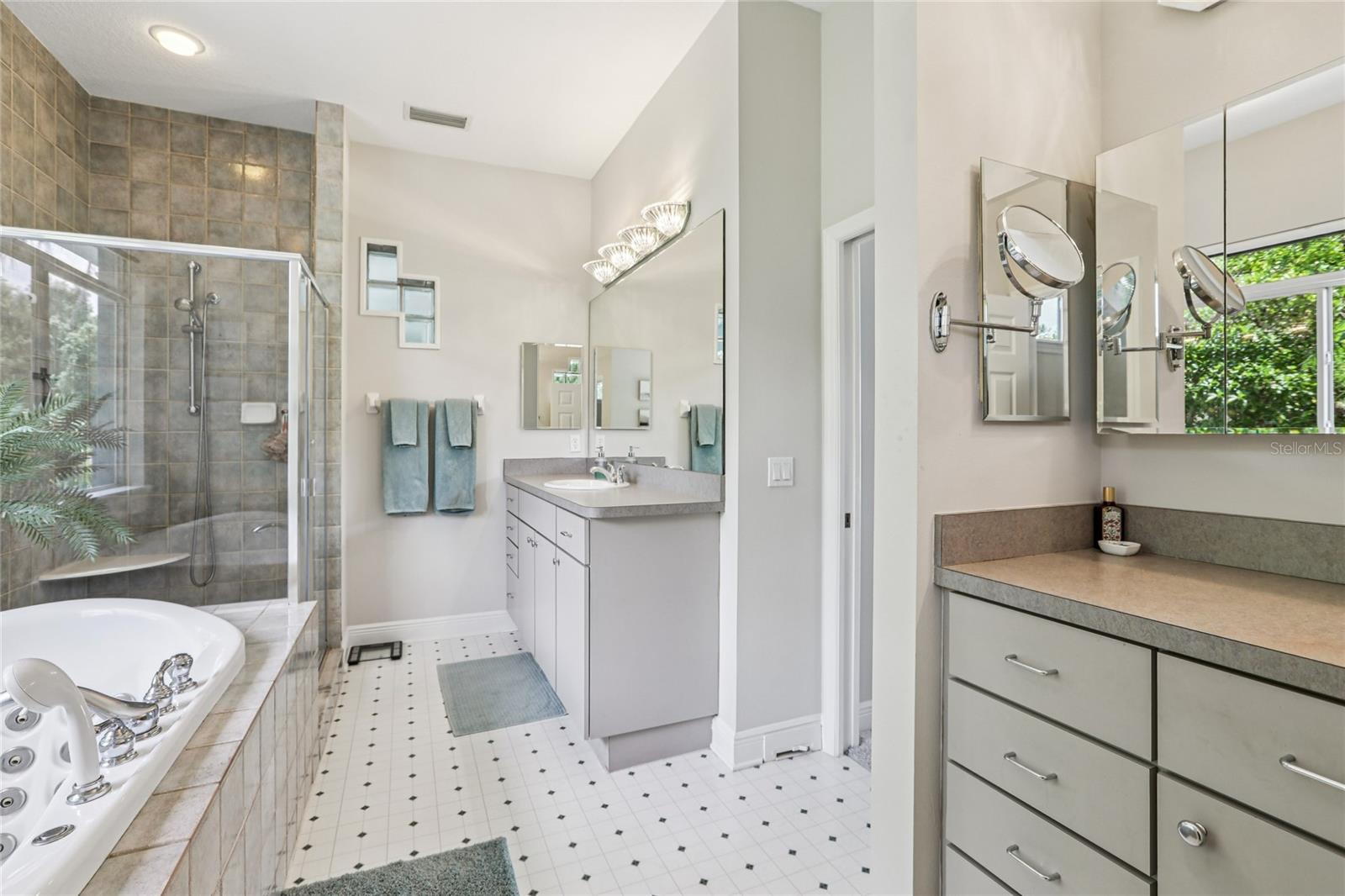 8701 LAKE CALM LN, ODESSA, FL, 33556