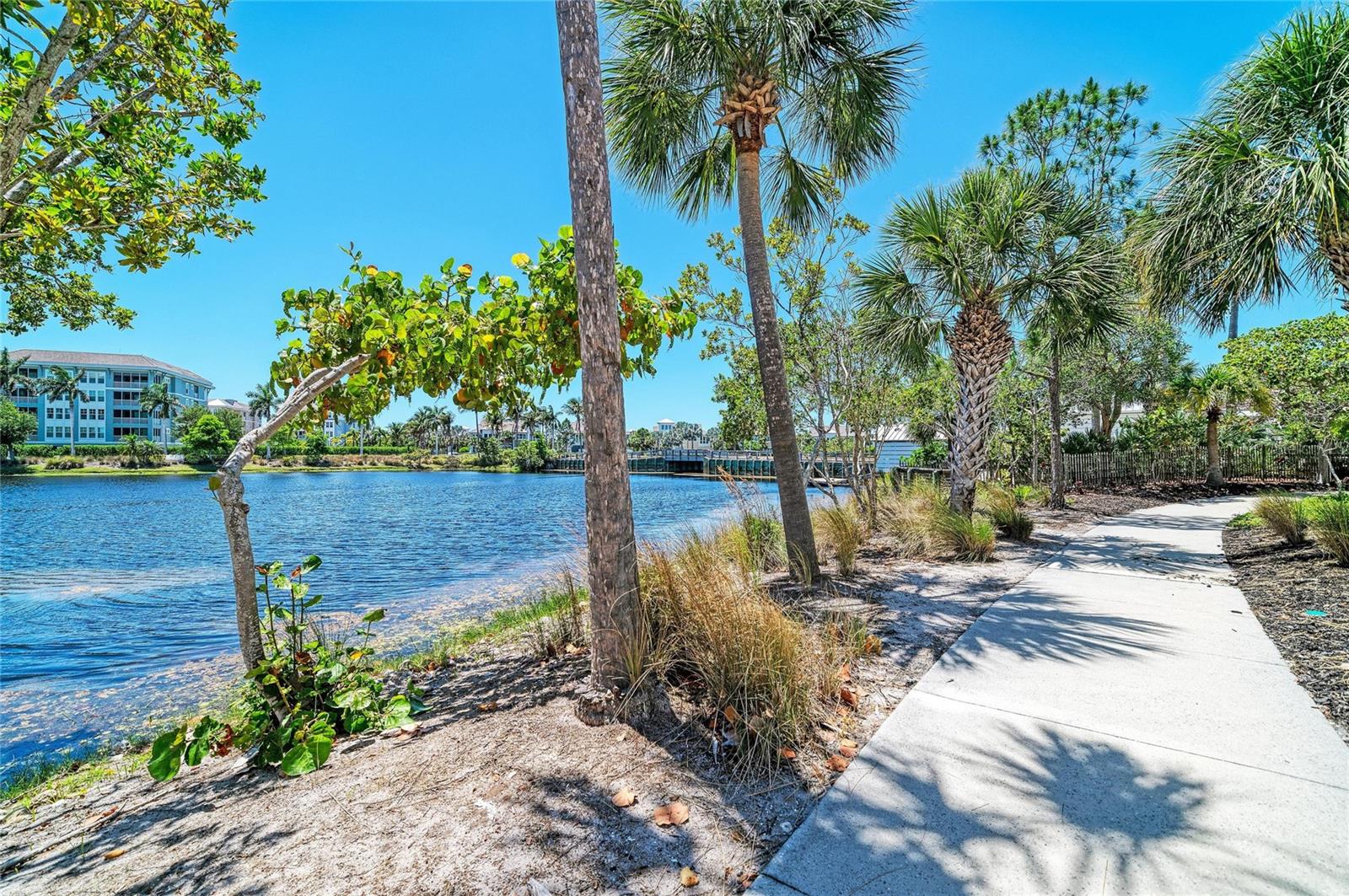 340 SAPPHIRE LAKE DR #201, BRADENTON, FL, 34209