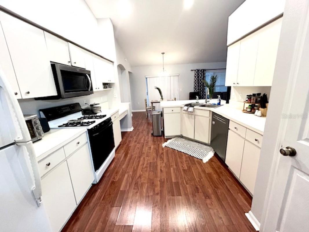 1135 BIG SKY DR, WESLEY CHAPEL, FL, 33543