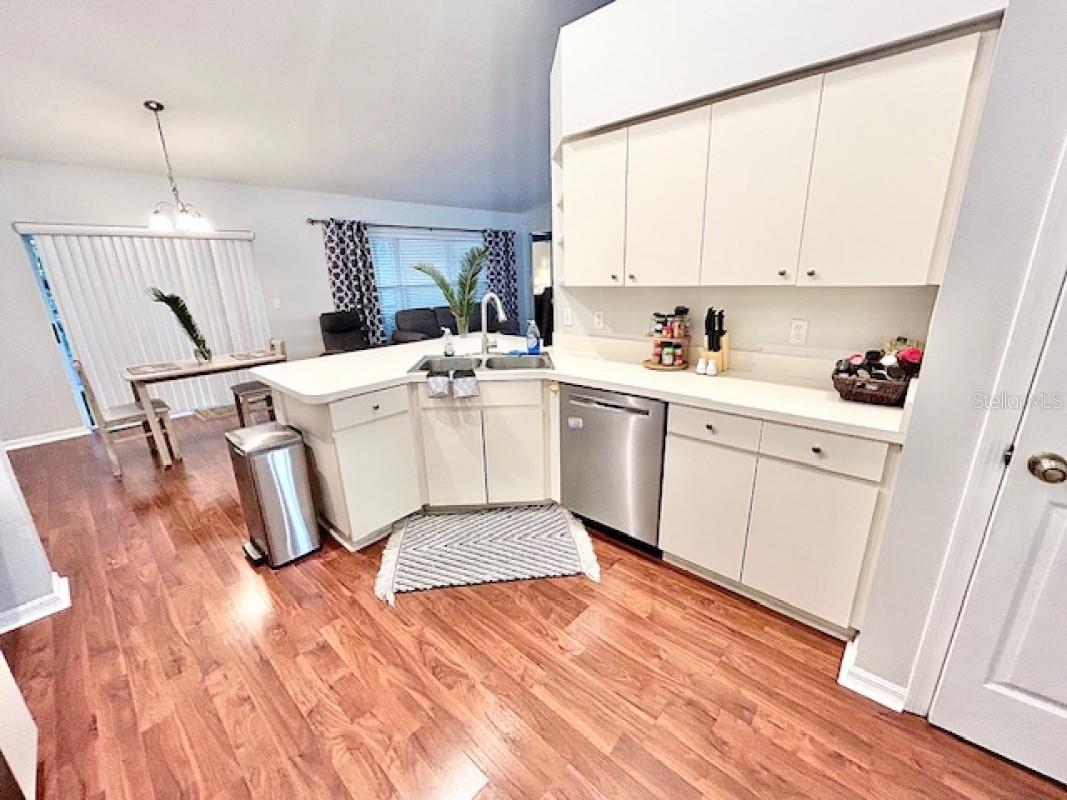 1135 BIG SKY DR, WESLEY CHAPEL, FL, 33543