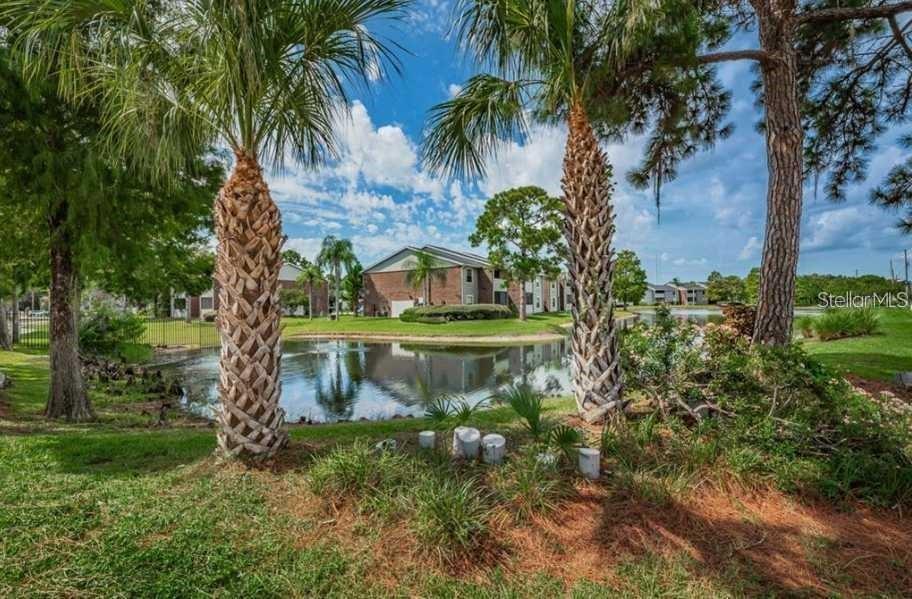1400 GANDY BLVD N #1107, ST PETERSBURG, FL, 33702