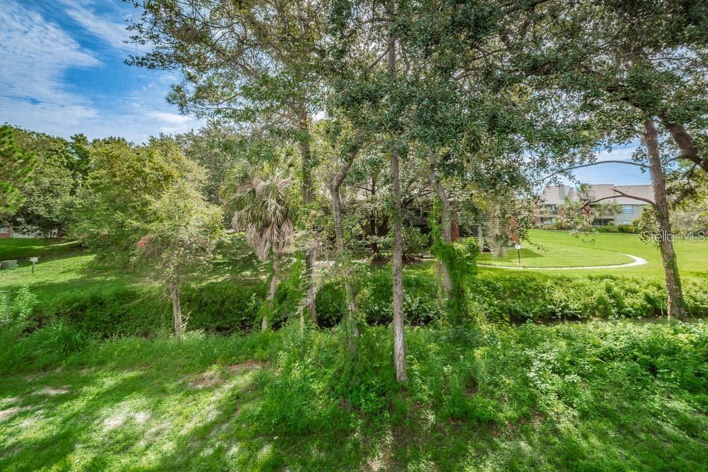 1400 GANDY BLVD N #1107, ST PETERSBURG, FL, 33702