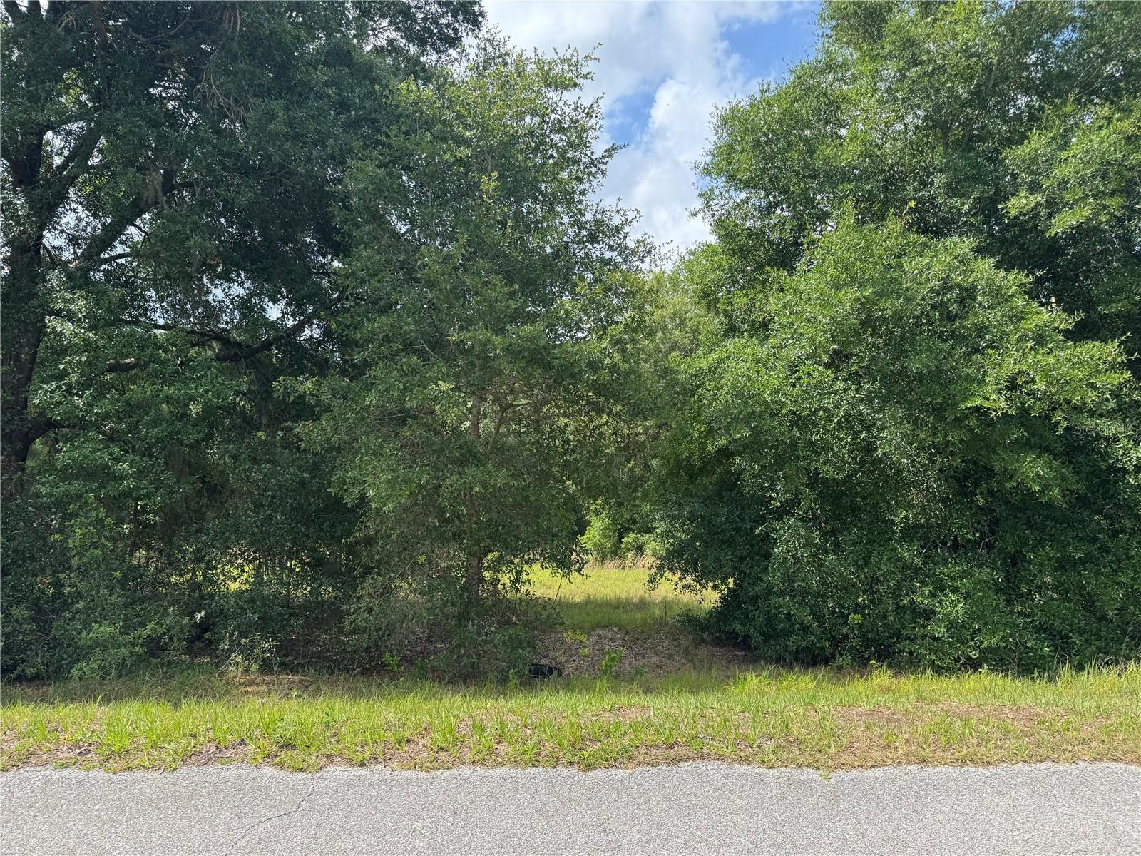 TBD KEENE RD, ALTOONA, FL, 32702