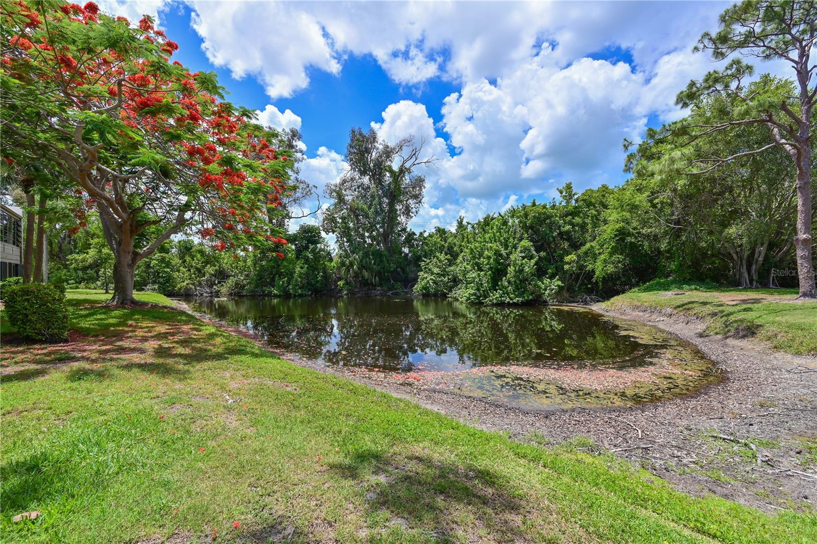 609 WOODLAWN DR, BRADENTON, FL, 34210