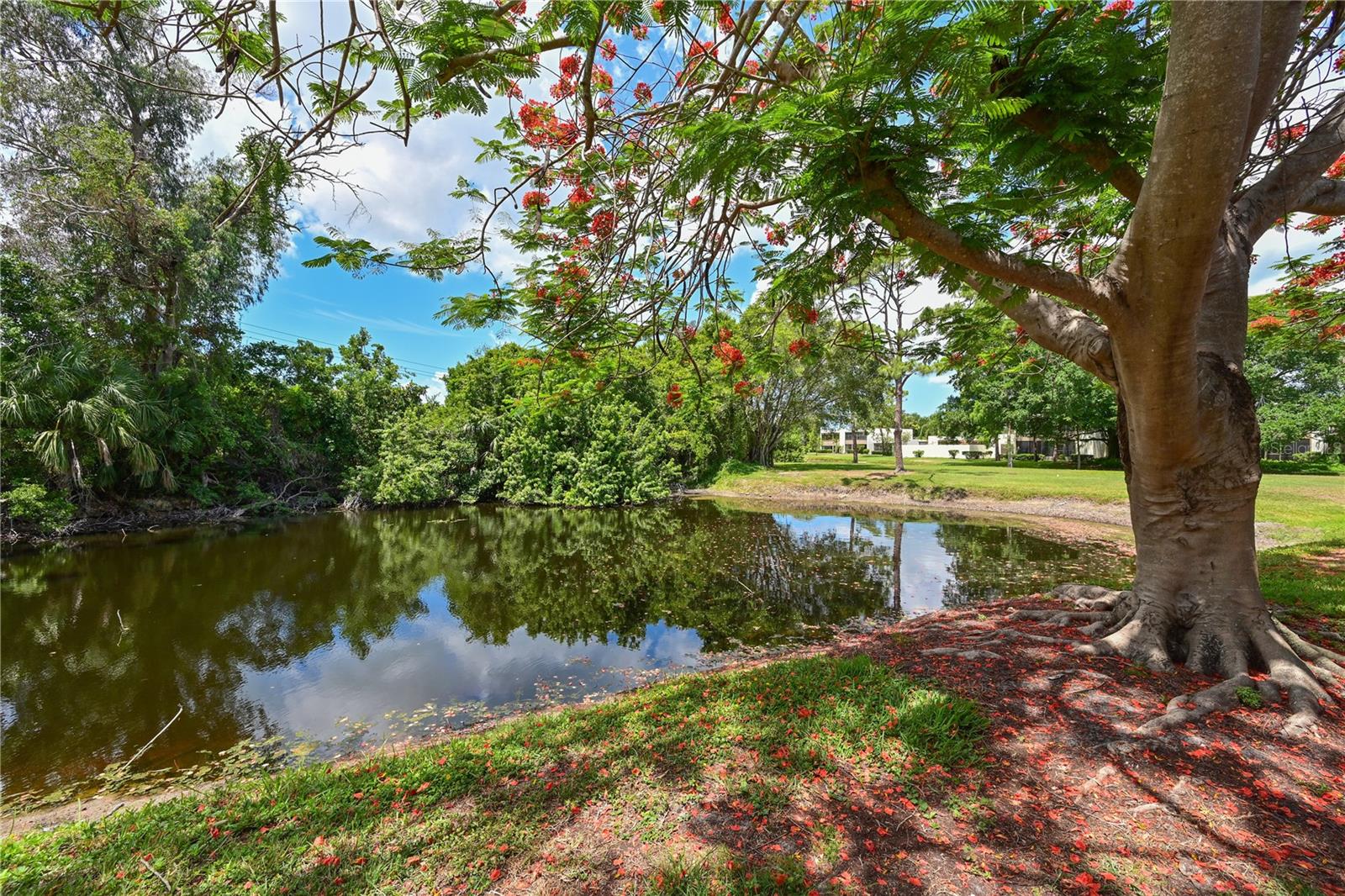 609 WOODLAWN DR, BRADENTON, FL, 34210