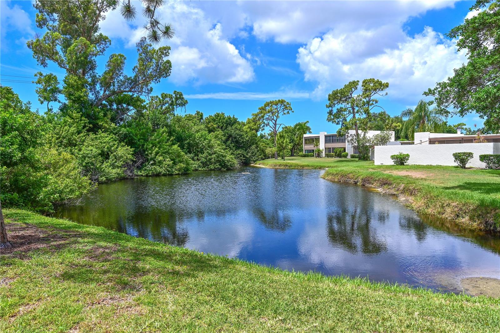 609 WOODLAWN DR, BRADENTON, FL, 34210