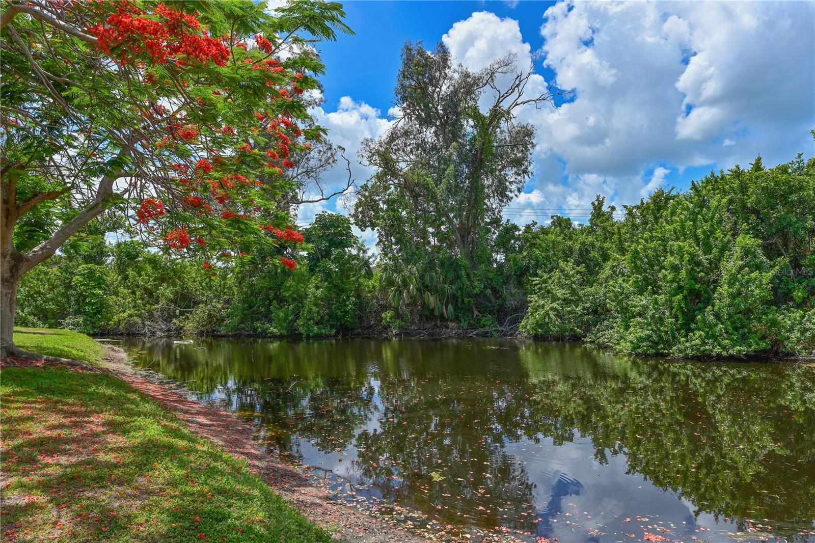 609 WOODLAWN DR, BRADENTON, FL, 34210
