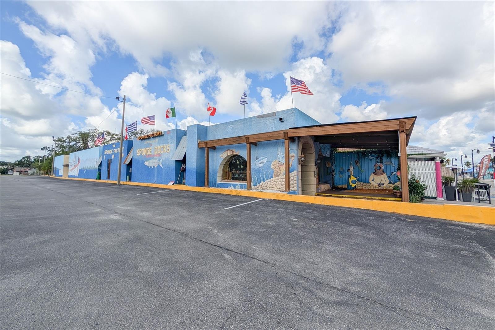 1472 BAY VIEW ST, TARPON SPRINGS, FL, 34689
