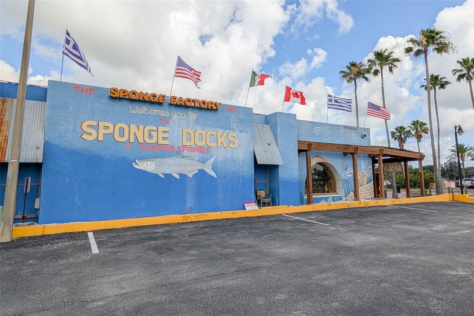 1472 BAY VIEW ST, TARPON SPRINGS, FL, 34689