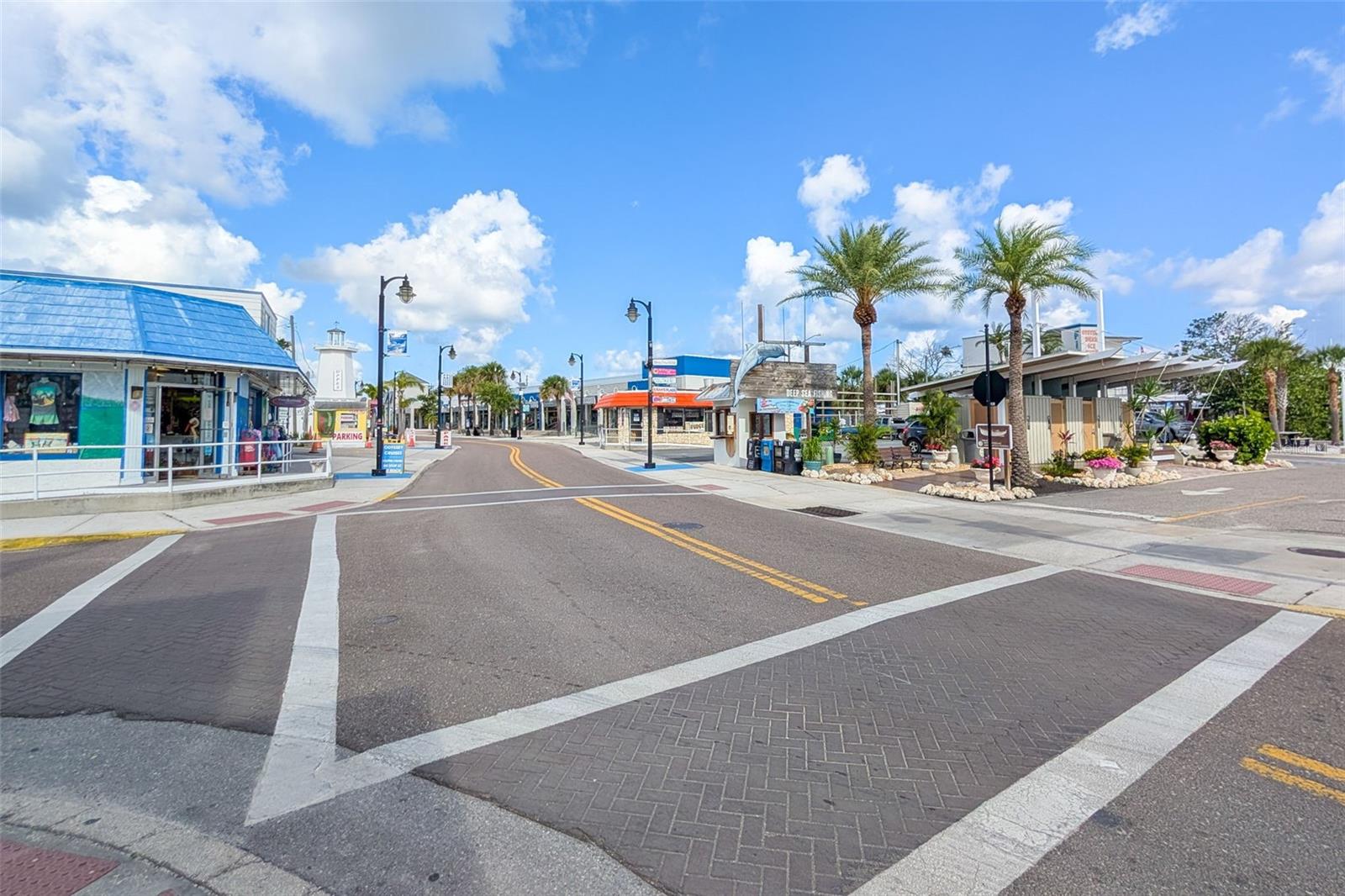 1472 BAY VIEW ST, TARPON SPRINGS, FL, 34689