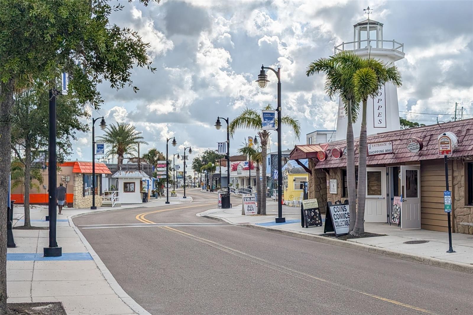 1472 BAY VIEW ST, TARPON SPRINGS, FL, 34689