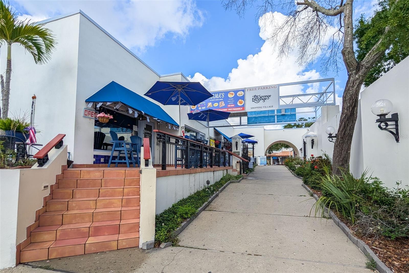 1472 BAY VIEW ST, TARPON SPRINGS, FL, 34689