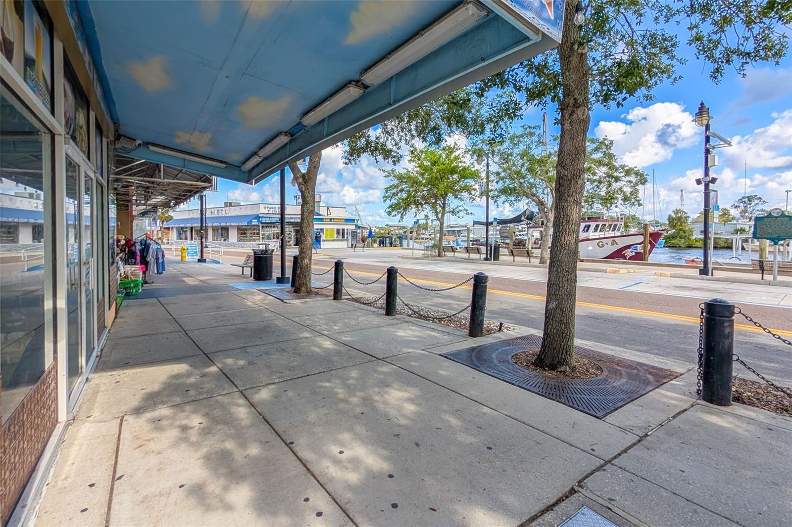 1472 BAY VIEW ST, TARPON SPRINGS, FL, 34689
