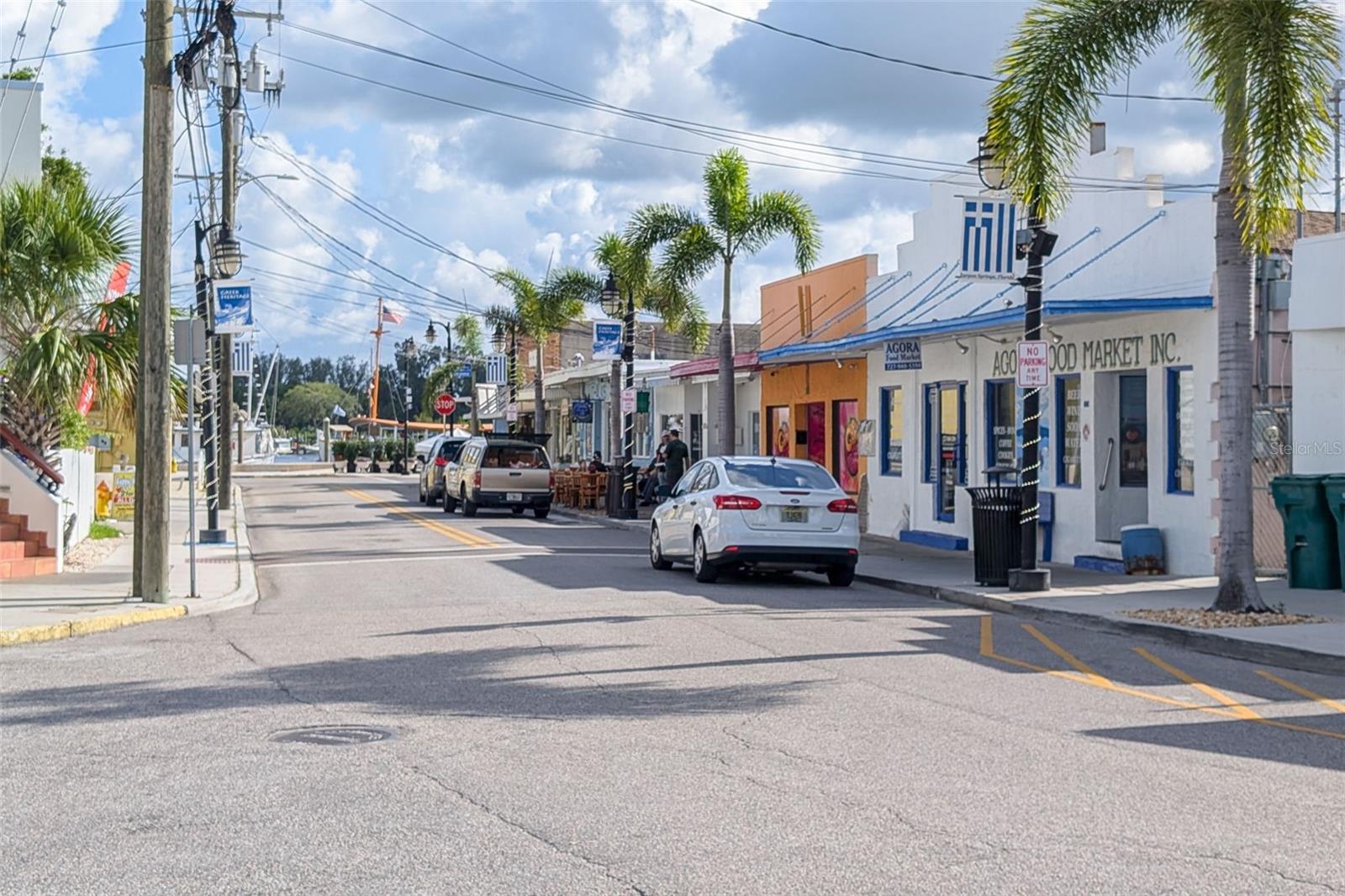 1472 BAY VIEW ST, TARPON SPRINGS, FL, 34689