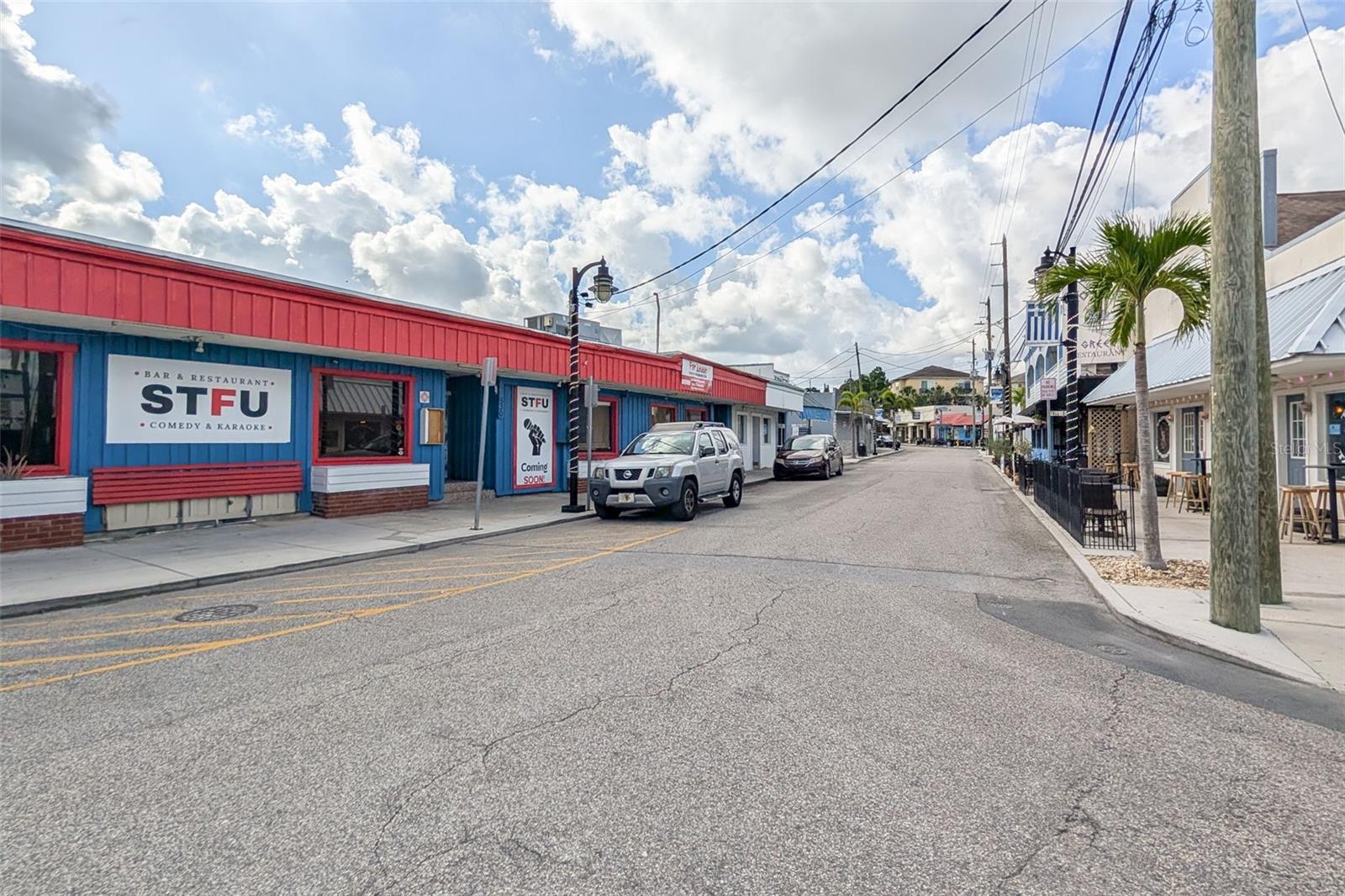 1472 BAY VIEW ST, TARPON SPRINGS, FL, 34689