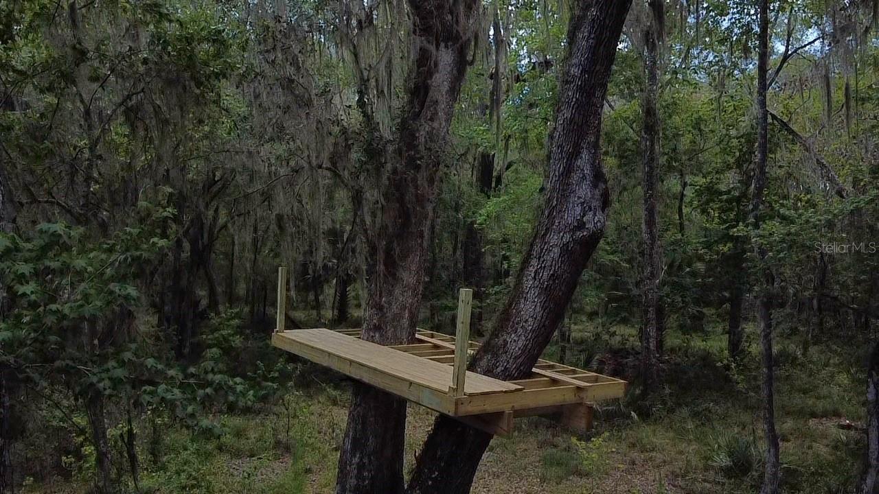 5813 SW 127TH AVE, MICANOPY, FL, 32667