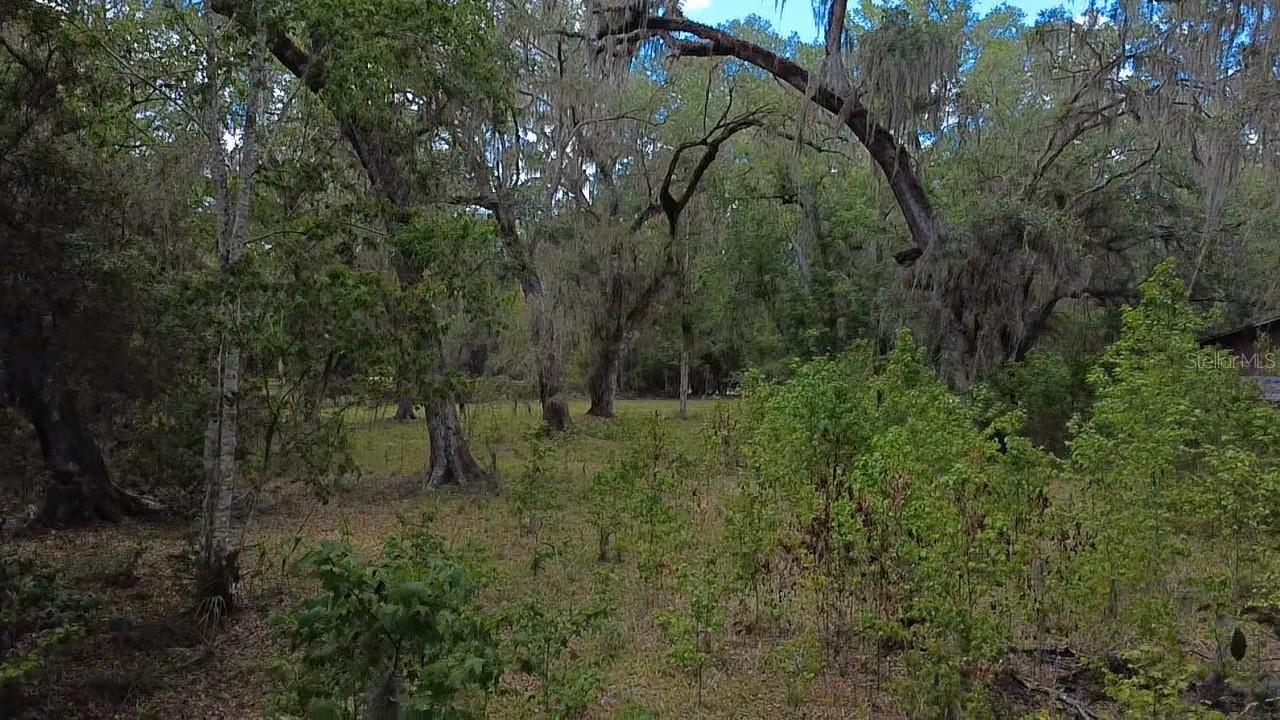 5813 SW 127TH AVE, MICANOPY, FL, 32667