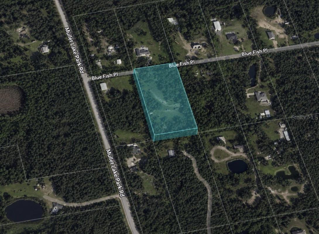 2205 BLUE FISH PL, GENEVA, FL, 32732