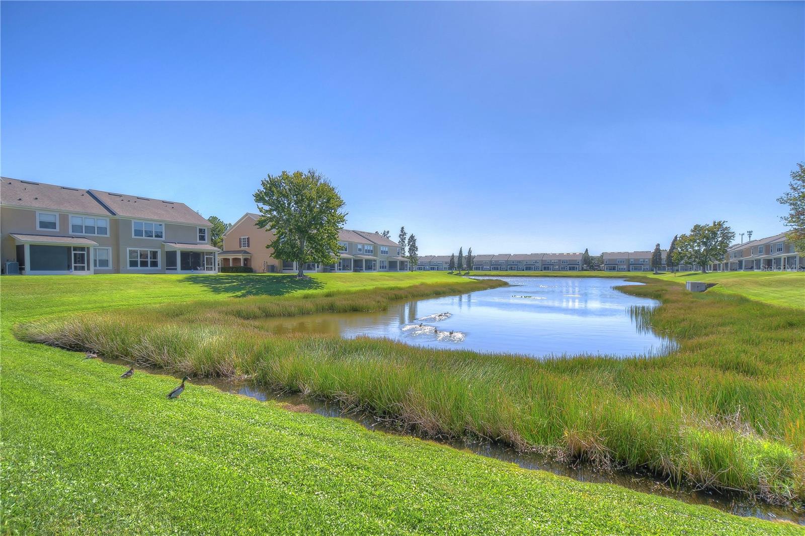 4744 POND RIDGE DR, RIVERVIEW, FL, 33578