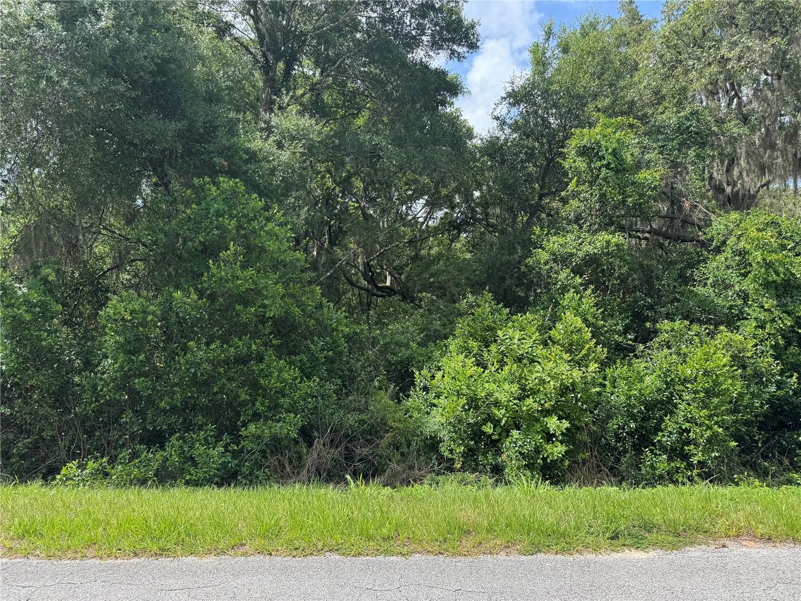 TBD KEENE RD, ALTOONA, FL, 32702
