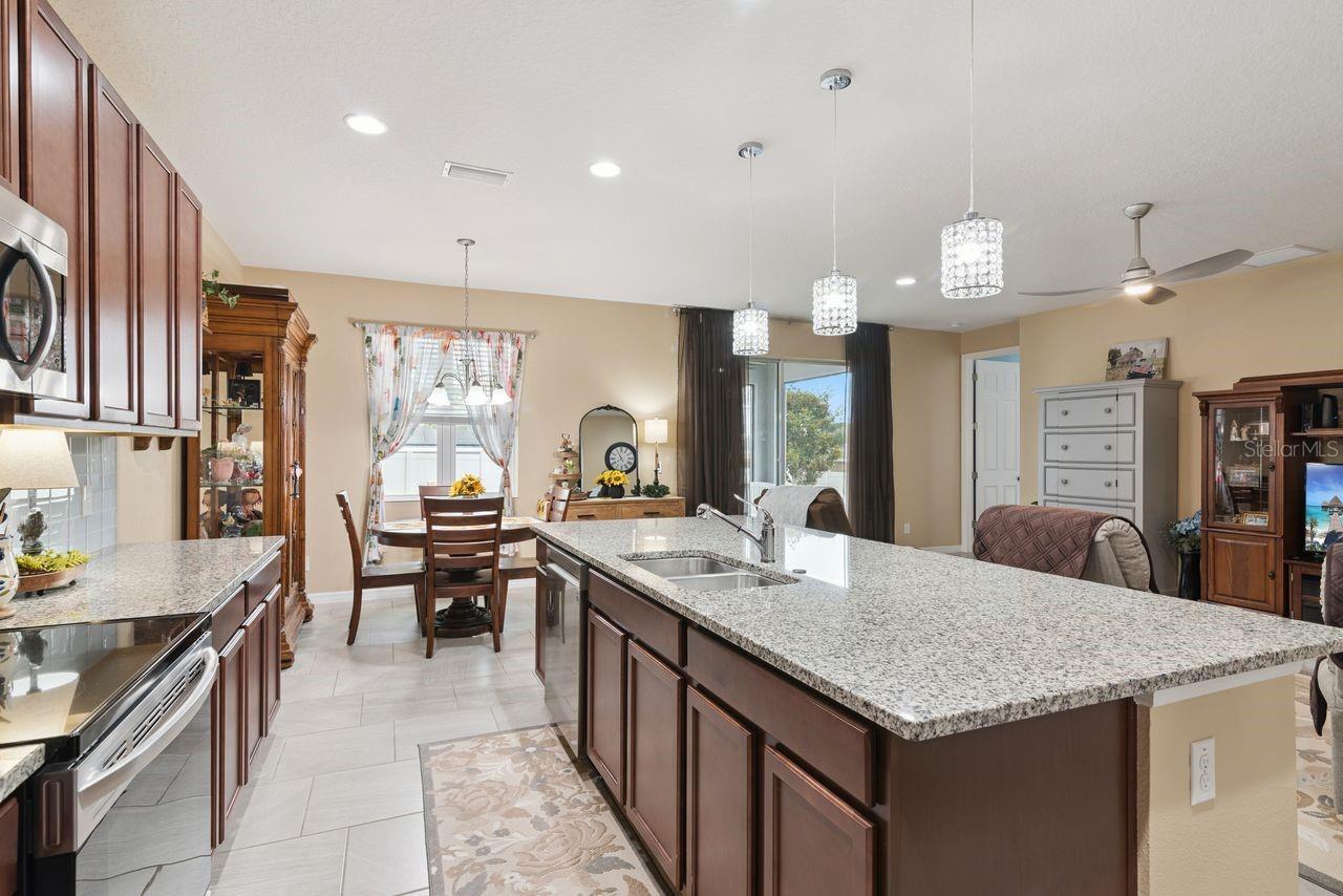 206 HYDRA WAY, GROVELAND, FL, 34736