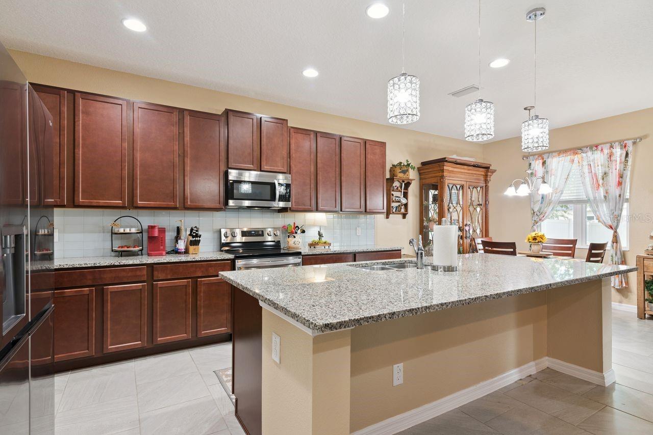 206 HYDRA WAY, GROVELAND, FL, 34736