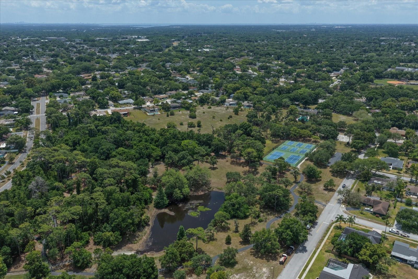 498 LAKEVIEW DR #44, PALM HARBOR, FL, 34683