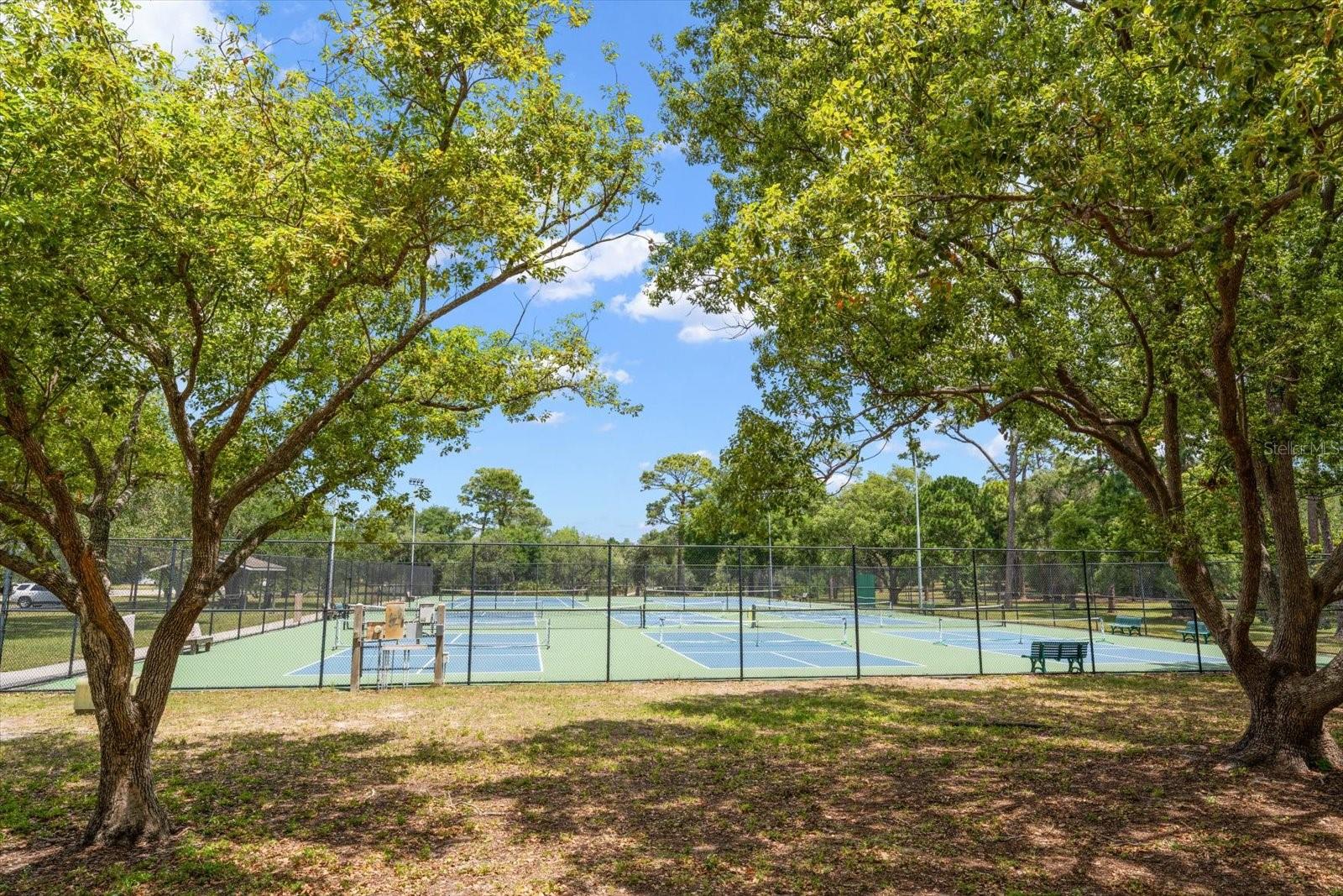 498 LAKEVIEW DR #44, PALM HARBOR, FL, 34683
