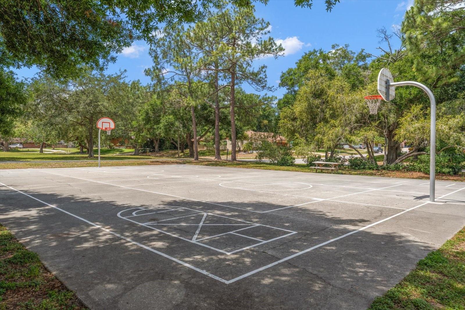 498 LAKEVIEW DR #44, PALM HARBOR, FL, 34683