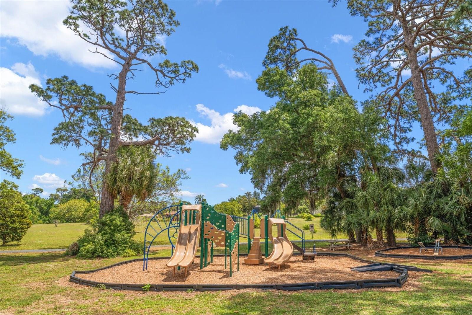 498 LAKEVIEW DR #44, PALM HARBOR, FL, 34683