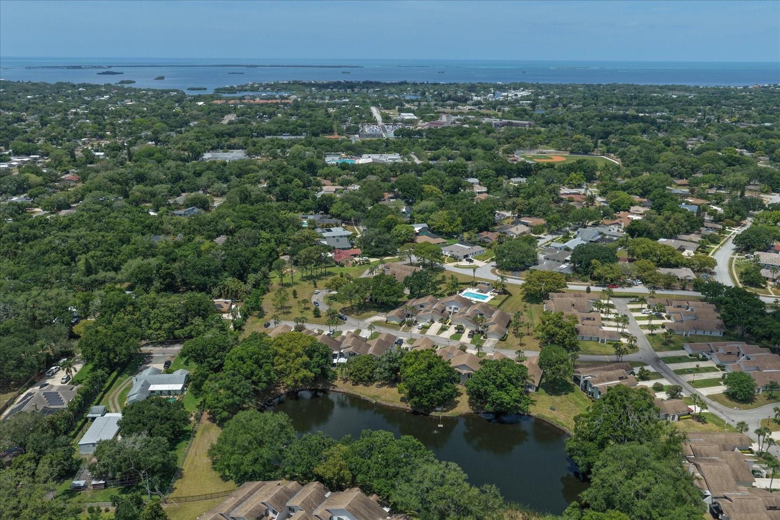498 LAKEVIEW DR #44, PALM HARBOR, FL, 34683