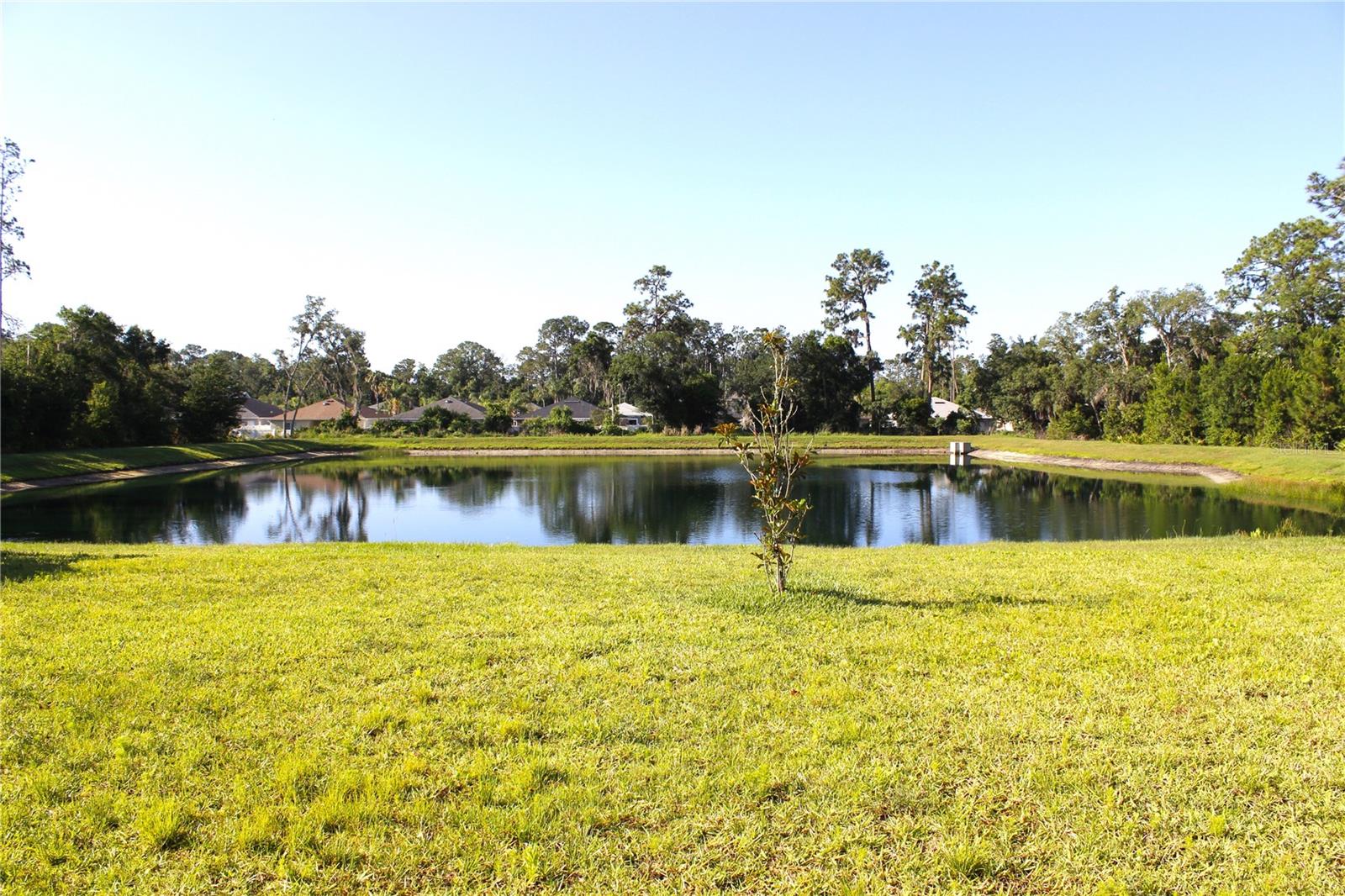 30600 THUNDERBIRD DR, WESLEY CHAPEL, FL, 33545