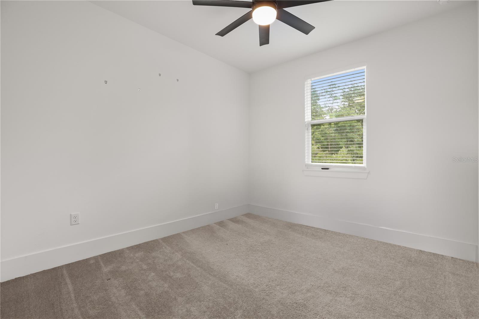2137 BRIGHTON LN, ORLANDO, FL, 32817