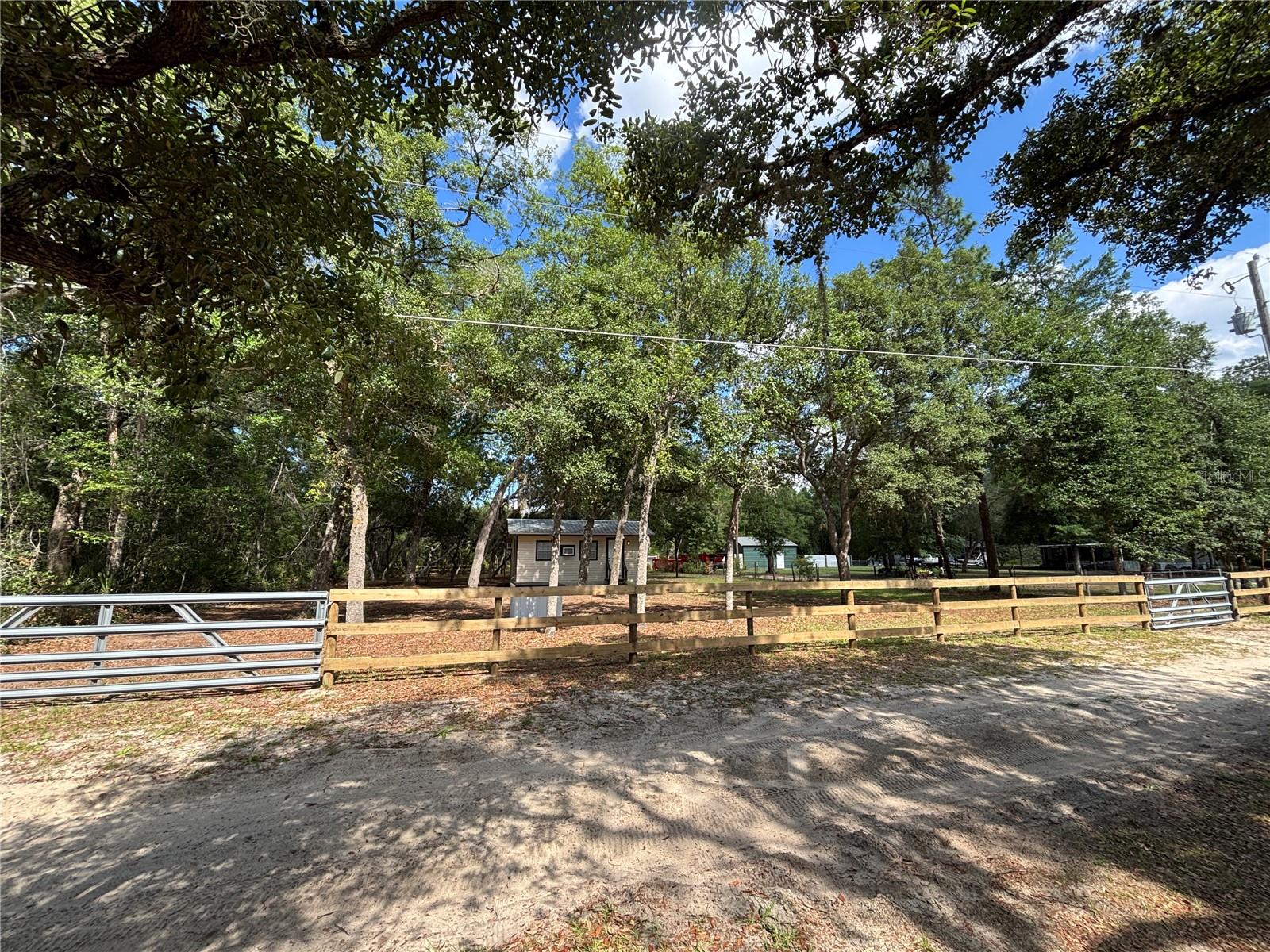 317 NE 172ND AVE, SILVER SPRINGS, FL, 34488