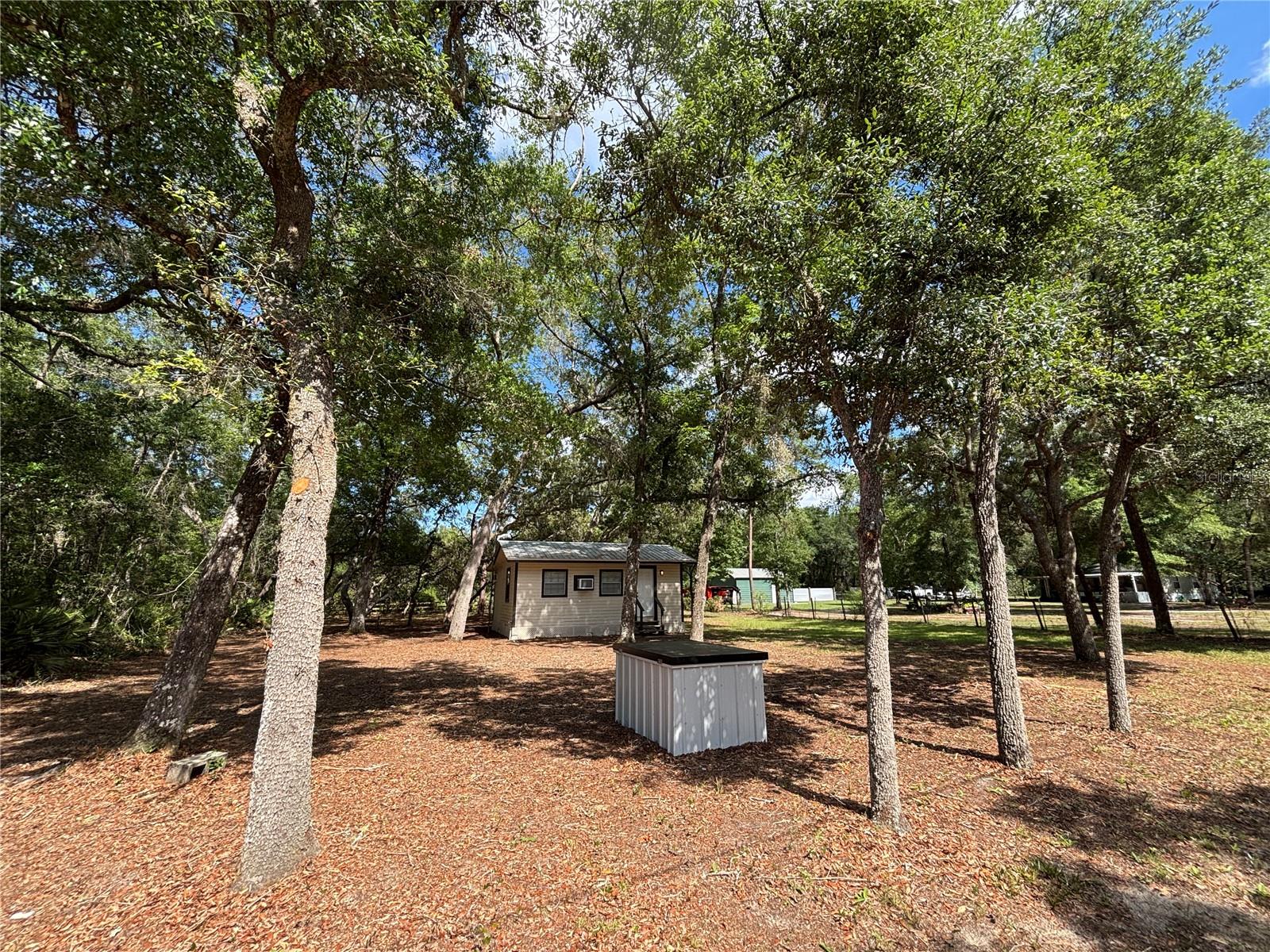 317 NE 172ND AVE, SILVER SPRINGS, FL, 34488