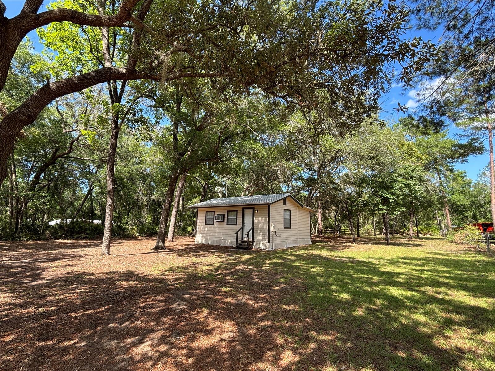 317 NE 172ND AVE, SILVER SPRINGS, FL, 34488