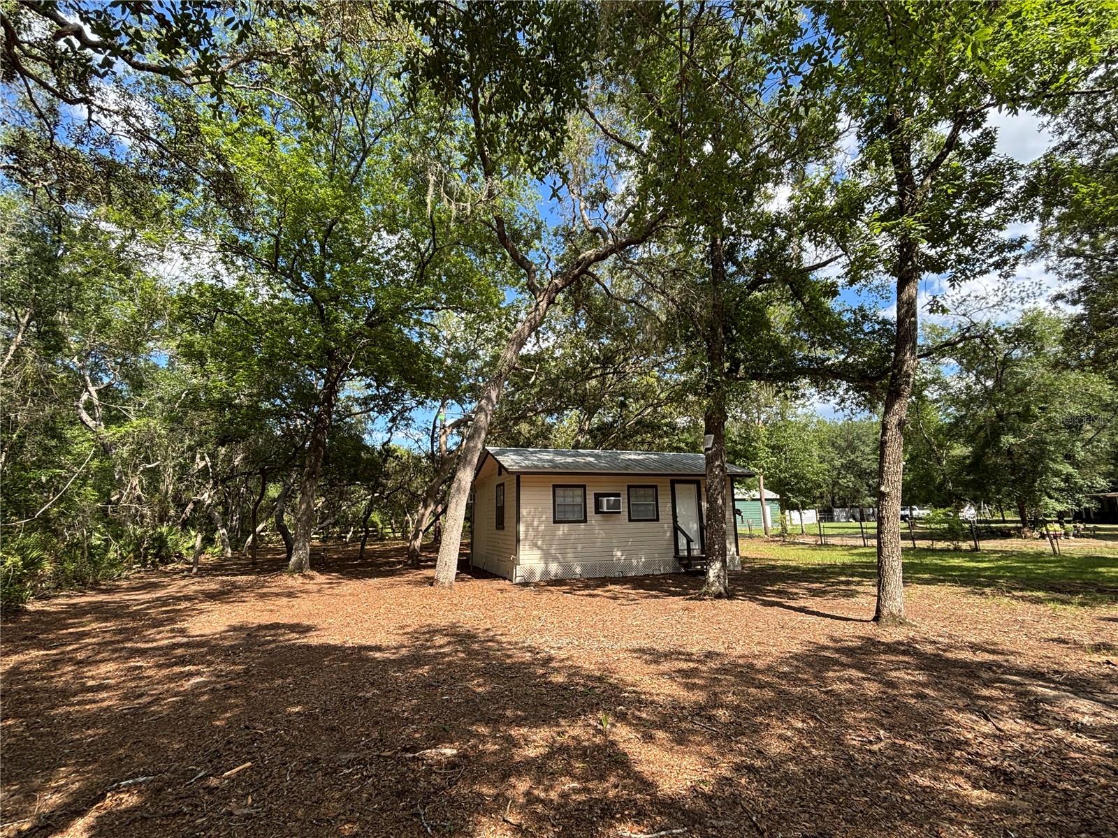 317 NE 172ND AVE, SILVER SPRINGS, FL, 34488