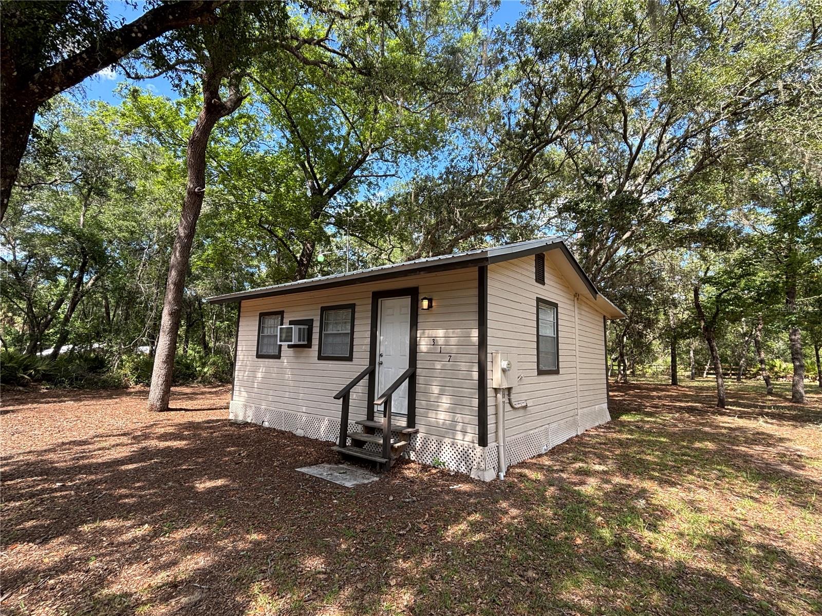 317 NE 172ND AVE, SILVER SPRINGS, FL, 34488