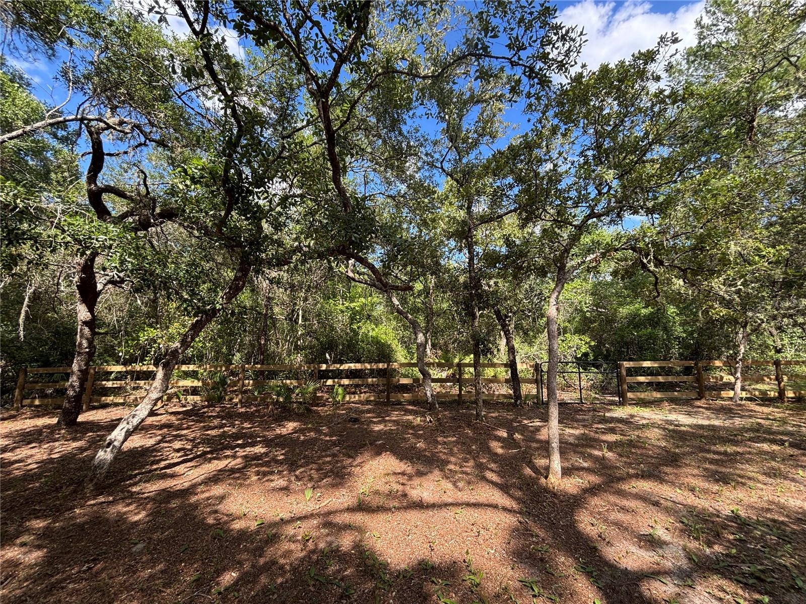 317 NE 172ND AVE, SILVER SPRINGS, FL, 34488