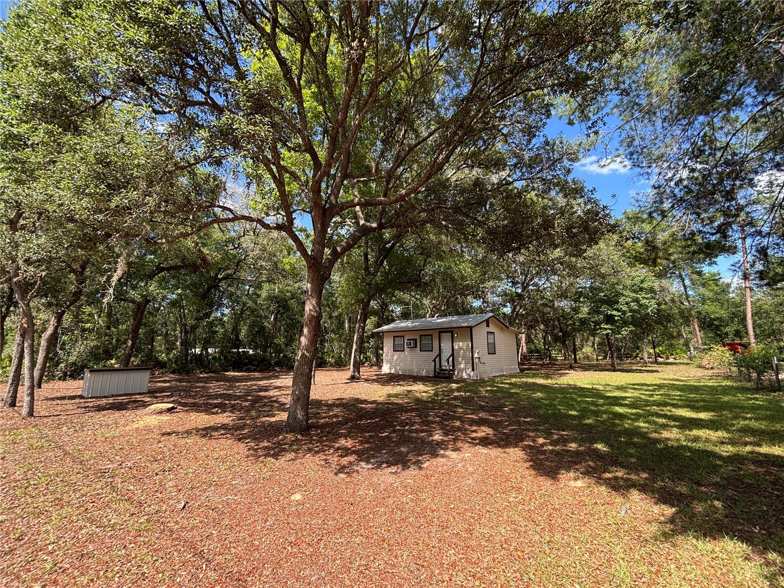 317 NE 172ND AVE, SILVER SPRINGS, FL, 34488