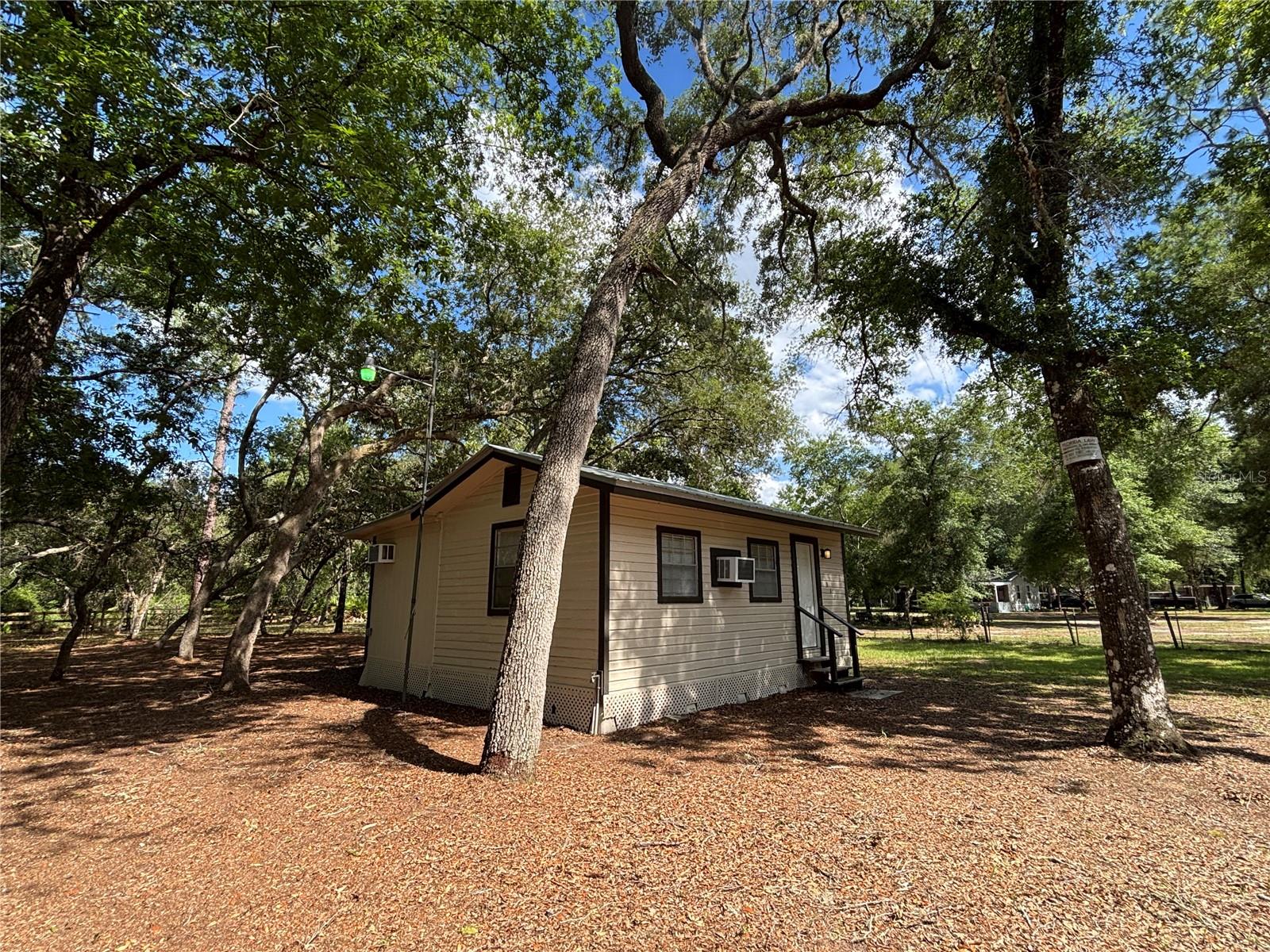 317 NE 172ND AVE, SILVER SPRINGS, FL, 34488