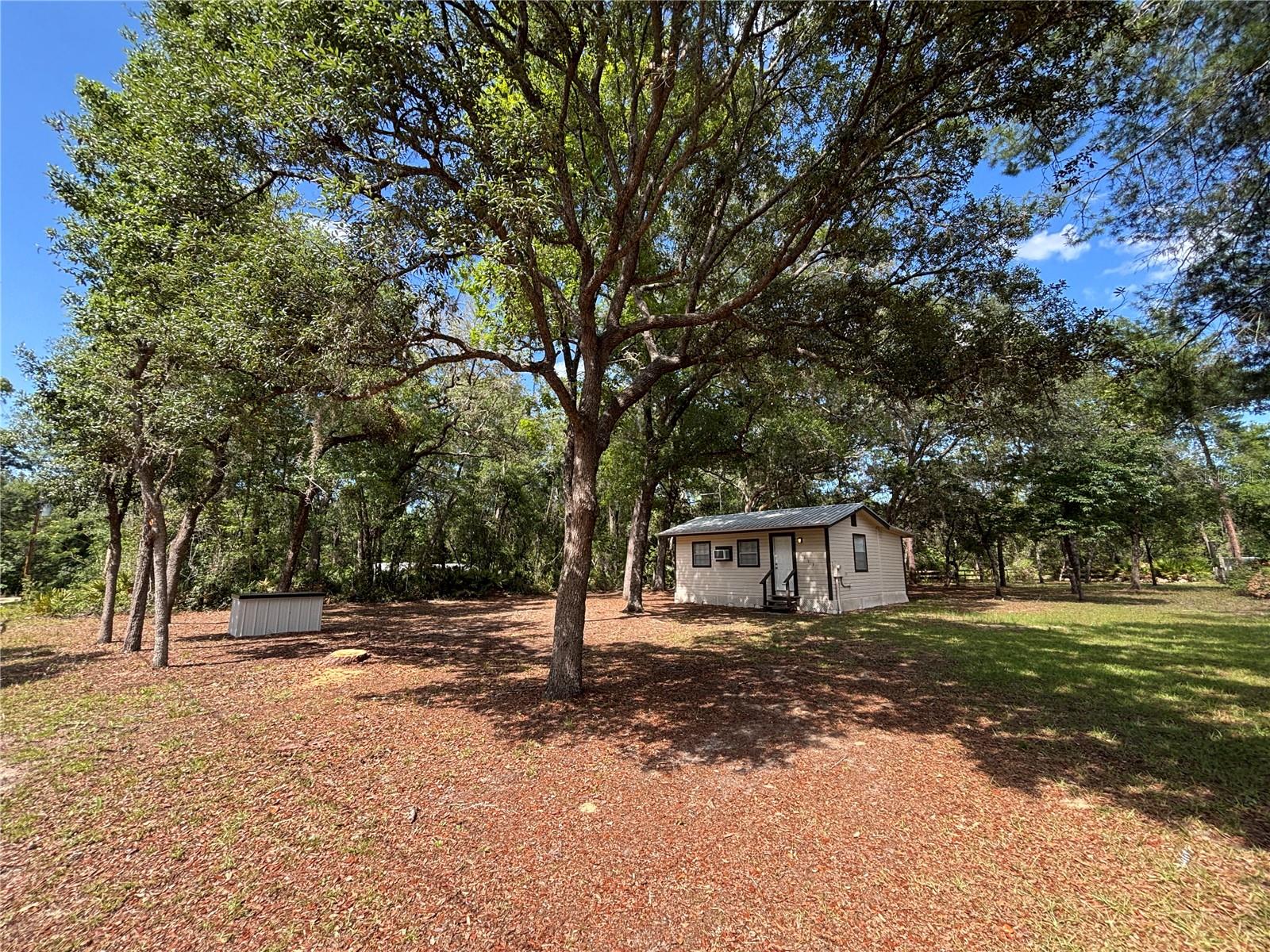 317 NE 172ND AVE, SILVER SPRINGS, FL, 34488