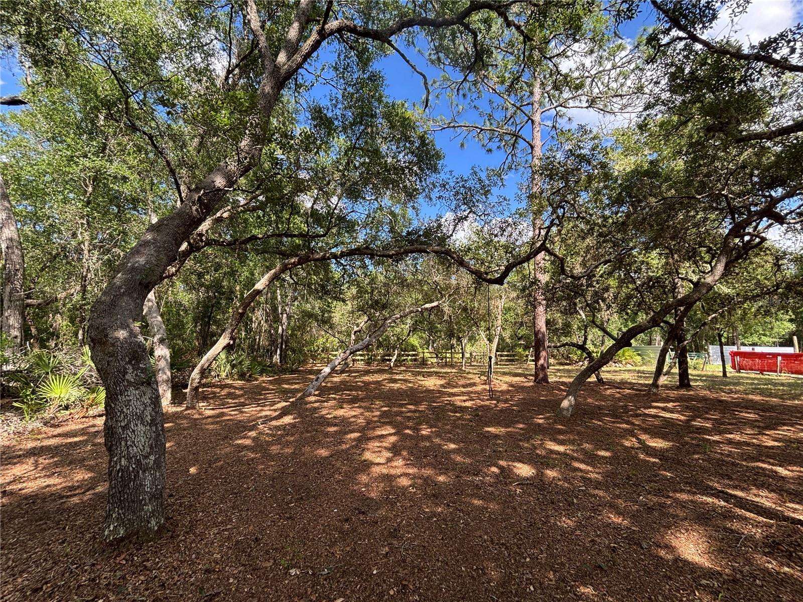 317 NE 172ND AVE, SILVER SPRINGS, FL, 34488