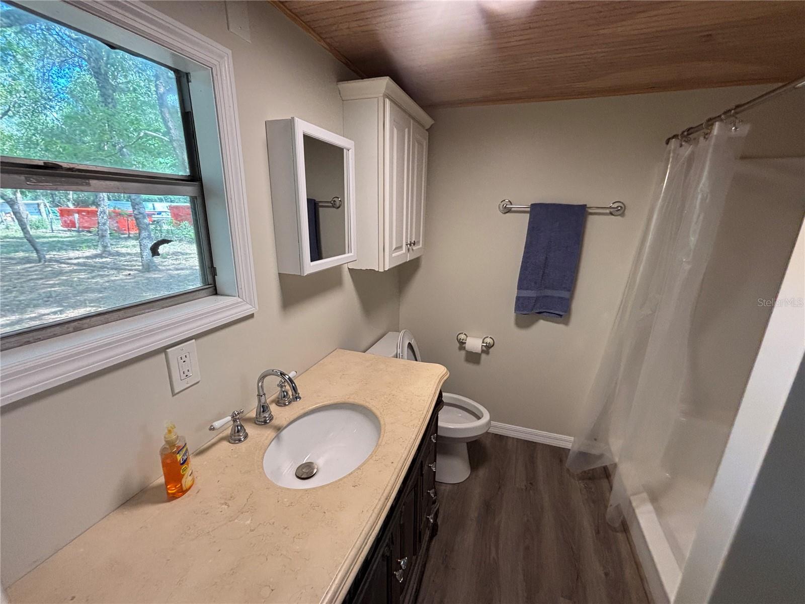 317 NE 172ND AVE, SILVER SPRINGS, FL, 34488