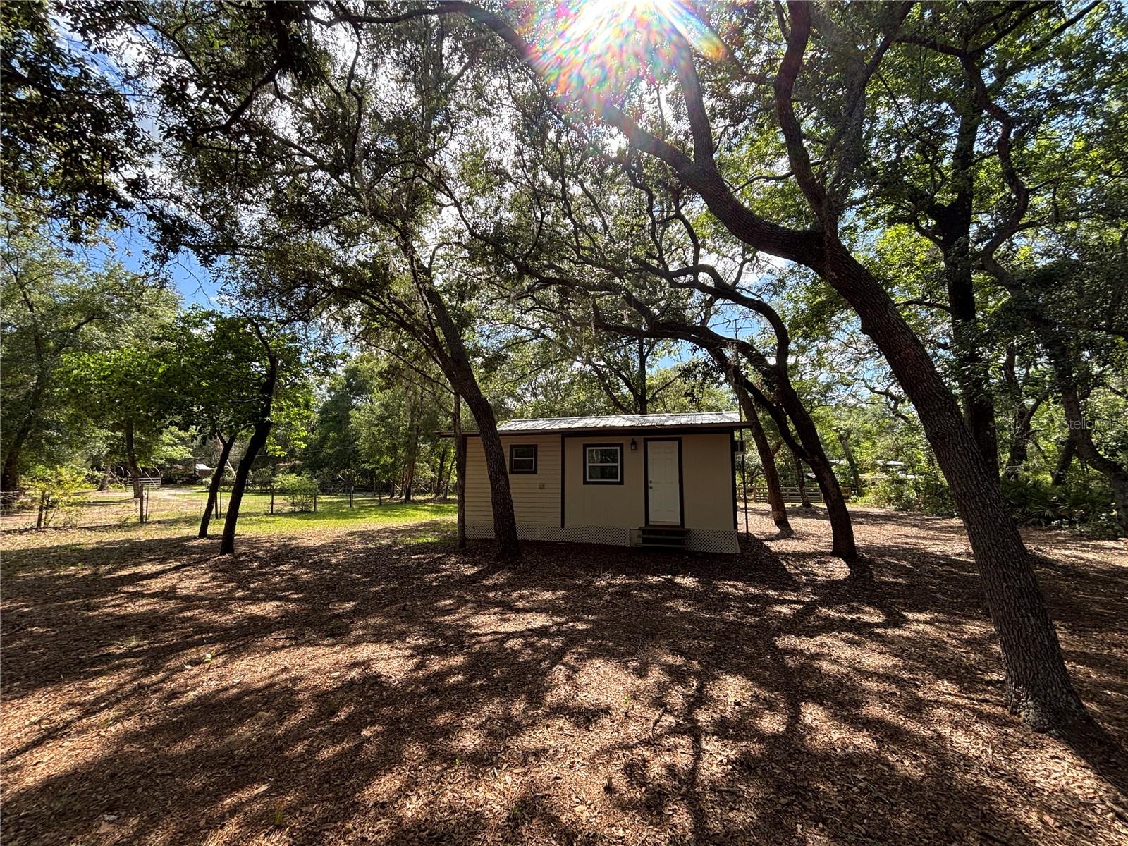 317 NE 172ND AVE, SILVER SPRINGS, FL, 34488